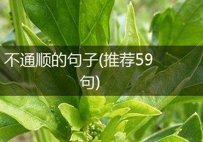 不通顺的句子(推荐59句)