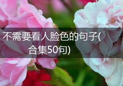 不需要看人脸色的句子(合集50句)
