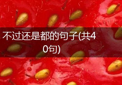 不过还是都的句子(共40句)