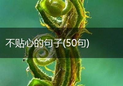 不贴心的句子(50句)