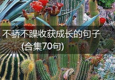 不骄不躁收获成长的句子(合集70句)