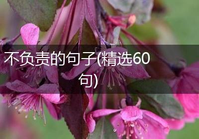 不负责的句子(精选60句)