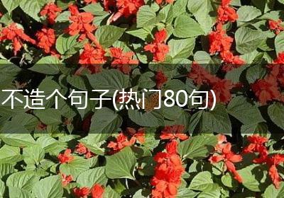 不造个句子(热门80句)