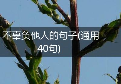 不辜负他人的句子(通用40句)