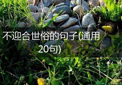 不迎合世俗的句子(通用20句)