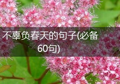 不辜负春天的句子(必备60句)
