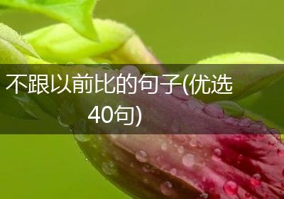 不跟以前比的句子(优选40句)
