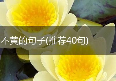 不黄的句子(推荐40句)