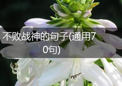 不败战神的句子(通用70句)
