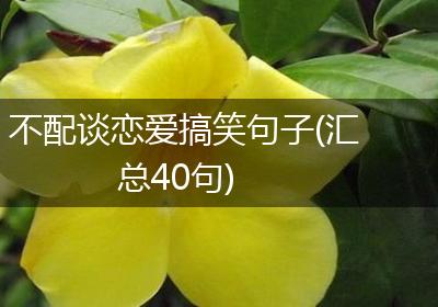 不配谈恋爱搞笑句子(汇总40句)