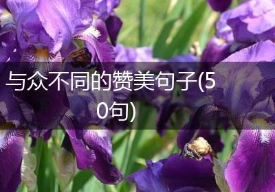 与众不同的赞美句子(50句)