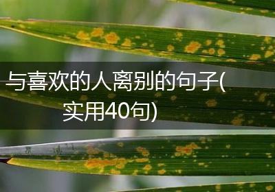 与喜欢的人离别的句子(实用40句)