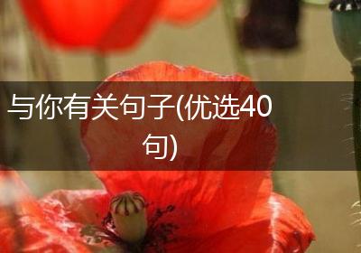 与你有关句子(优选40句)