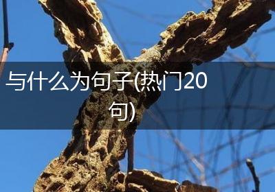 与什么为句子(热门20句)