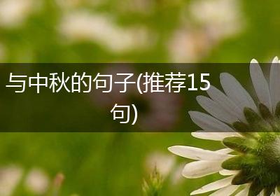 与中秋的句子(推荐15句)