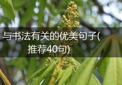 与书法有关的优美句子(推荐40句)