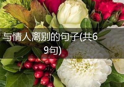 与情人离别的句子(共69句)
