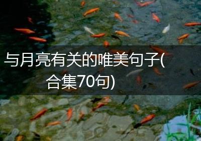 与月亮有关的唯美句子(合集70句)