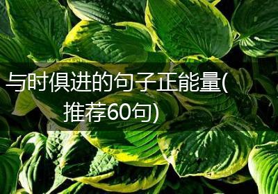 与时俱进的句子正能量(推荐60句)