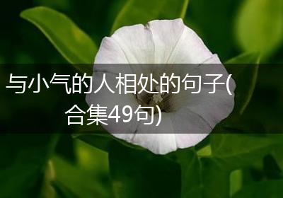 与小气的人相处的句子(合集49句)