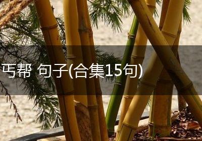 丐帮 句子(合集15句)