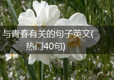 与青春有关的句子英文(热门40句)