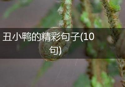 丑小鸭的精彩句子(10句)