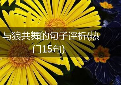 与狼共舞的句子评析(热门15句)
