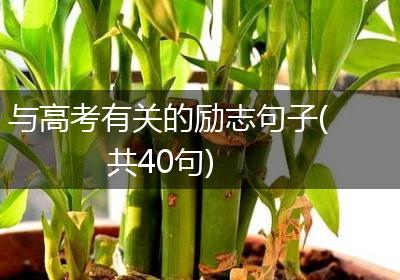 与高考有关的励志句子(共40句)