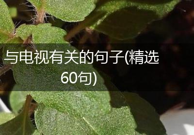与电视有关的句子(精选60句)