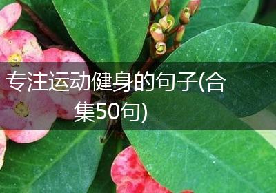 专注运动健身的句子(合集50句)