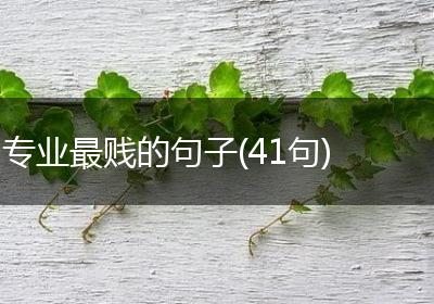 专业最贱的句子(41句)