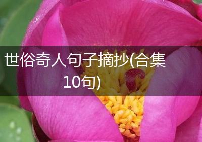 世俗奇人句子摘抄(合集10句)