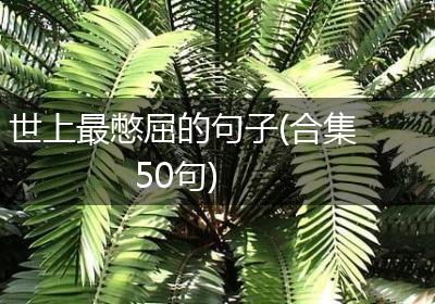 世上最憋屈的句子(合集50句)