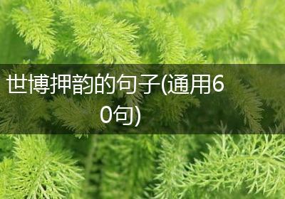 世博押韵的句子(通用60句)