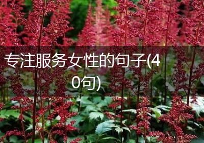 专注服务女性的句子(40句)