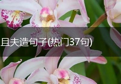 且夫造句子(热门37句)