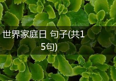 世界家庭日 句子(共15句)