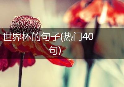 世界杯的句子(热门40句)