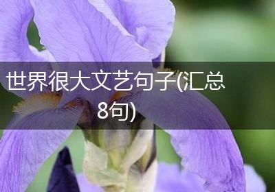 世界很大文艺句子(汇总8句)