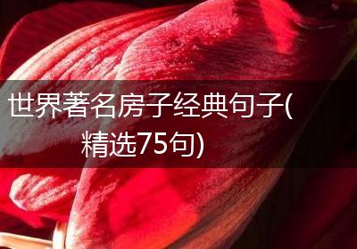 世界著名房子经典句子(精选75句)