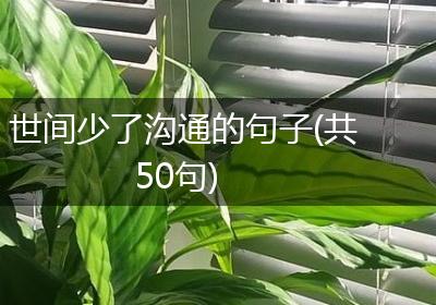 世间少了沟通的句子(共50句)