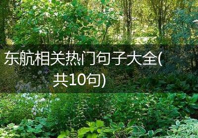 东航相关热门句子大全(共10句)