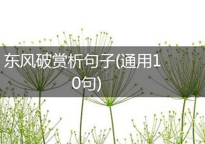 东风破赏析句子(通用10句)