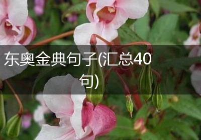 东奥金典句子(汇总40句)