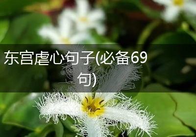 东宫虐心句子(必备69句)