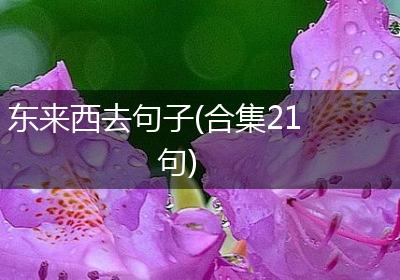 东来西去句子(合集21句)