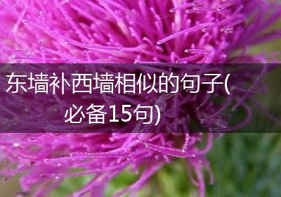 东墙补西墙相似的句子(必备15句)