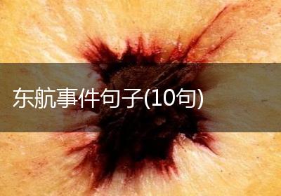 东航事件句子(10句)