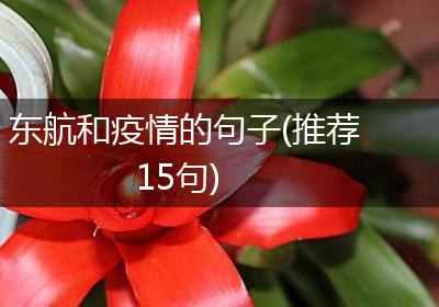 东航和疫情的句子(推荐15句)